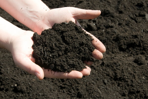 Loose soil in hands