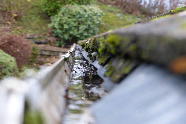 A gutter filled with debris and water. 