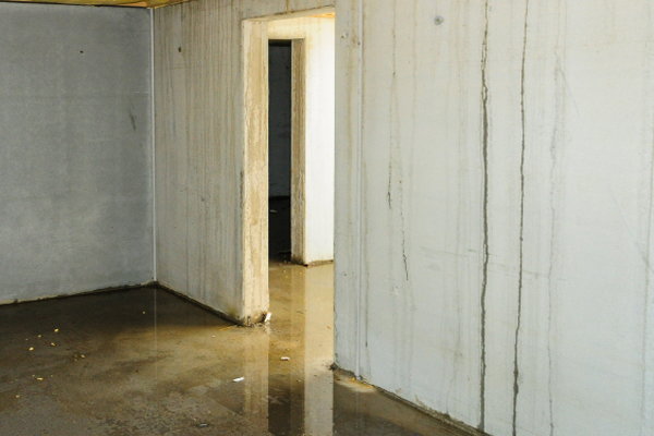Examine your entire basement for any moisture issues or cracks in the concrete. 