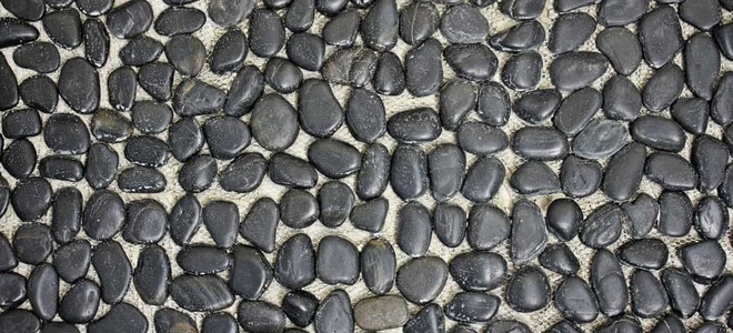 Lead Image