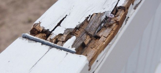 Tips For Filling Rotted Wood Doityourself Com