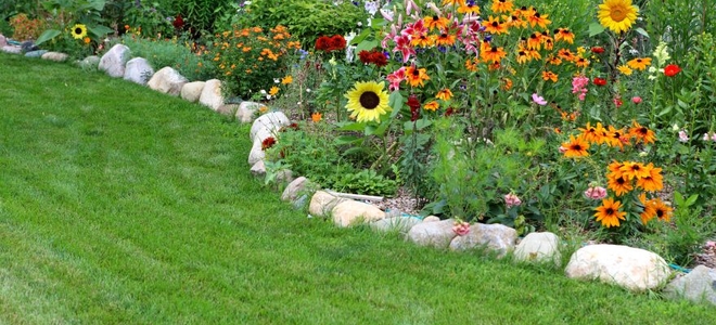 how-to-clean-your-flower-bed-doityourself