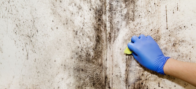 Removing Black Mold Mildew From Hard To Reach Crevices