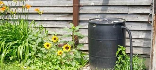 Lead Image for How to Install a Rain Catcher