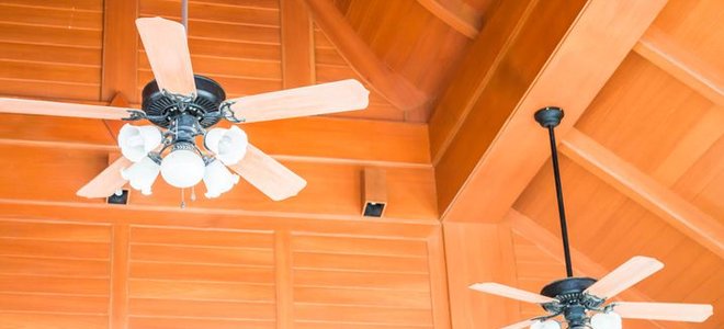 A pair of ceiling fan with downrods.