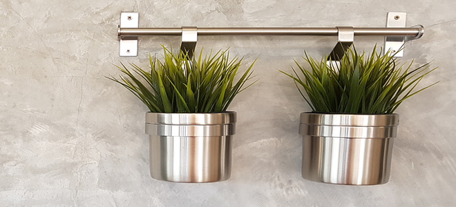 a concrete wall with two plants