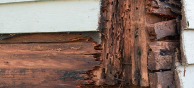 rotten wood on a house