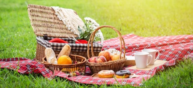 picnic basket and blanket laid out with fruit, donuts, mugs, and bread