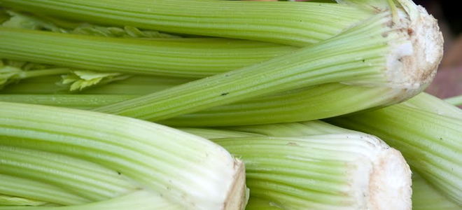 The end pieces of celery stalks. 