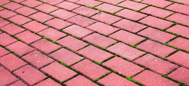 Lead Image for Laying Brick over Concrete