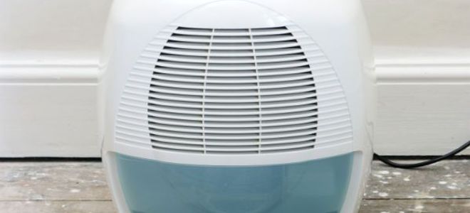 Basement Dehumidifier Temperature Guide | DoItYourself.com