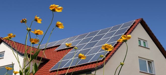 solar power on roof seen through flowers