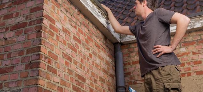 A man standing on a ladder looking at the roof of a brick house.
