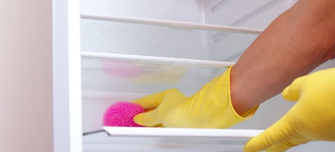 Cleaning a glass refrigerator shelf with an abrasive pad.