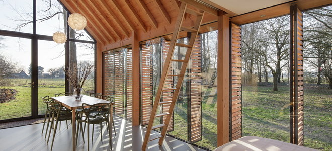 interior of wood and glass home with ladder