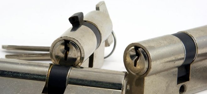 Lead Image