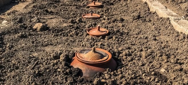 How to Make a Ceramic Olla Watering System