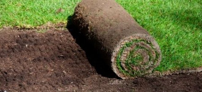 Quick way to get a new lawn. Roll out new turf.
