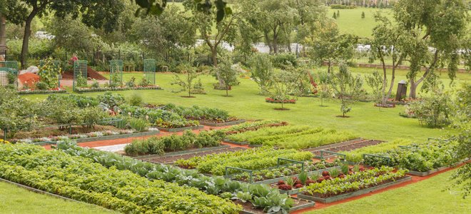 A small outdoor garden.