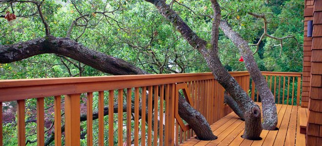 deck with railing surrounded by trees