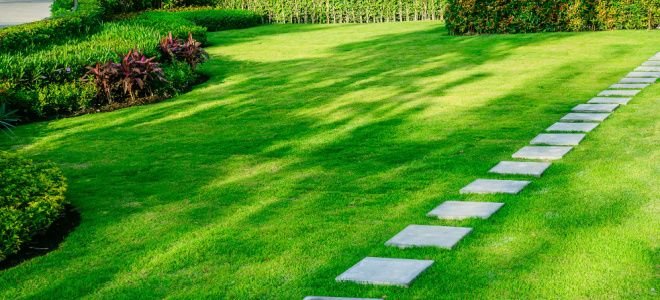 healthy green landscaped lawn with stone path