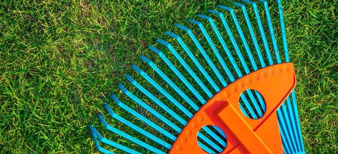 A bright blue and orange rake against a lawn.