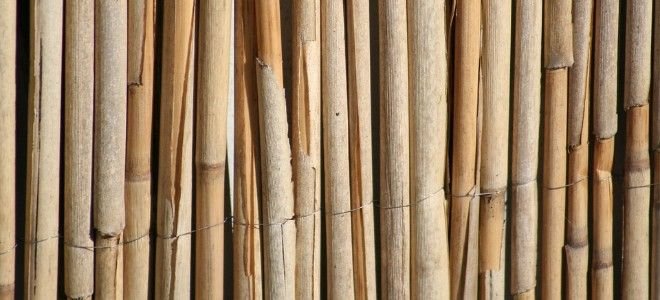 dry reed or bamboo fencing