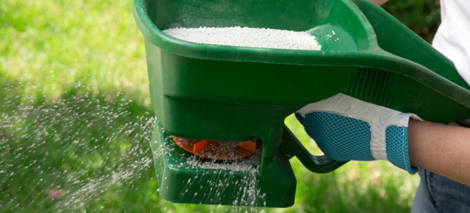 Spreading fertilizer on a lawn