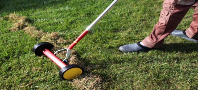 How to Dethatch Your Lawn in the Spring | DoItYourself.com