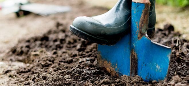 booted foot pressing shovel into soil