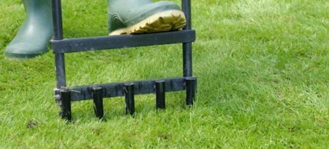 manually aerating a lawn