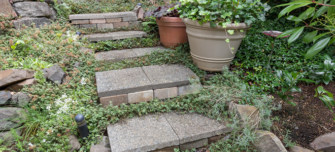 concrete steps in a garden