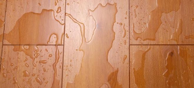Water puddles on a wood floor.