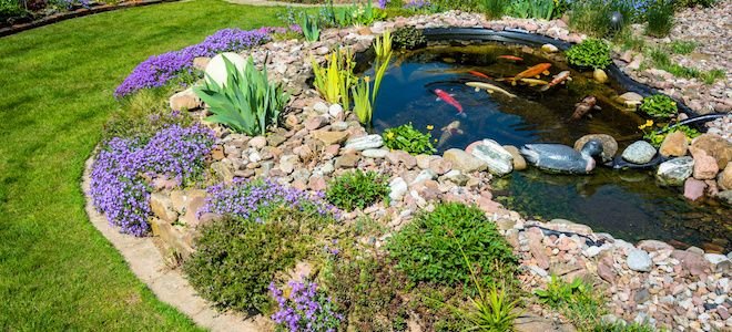 How Much Energy Does A Koi Pond Consume Doityourself Com