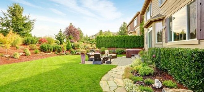 Beautify Your Backyard Landscape on a Budget | DoItYourself.com