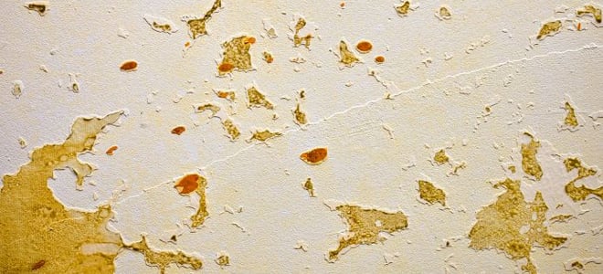How to Remove Adhesive from Drywall 
