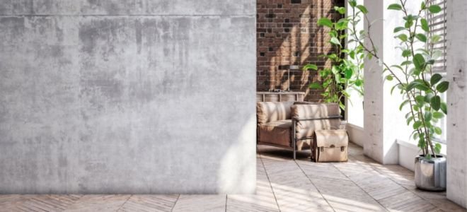 concrete interior wall with plants
