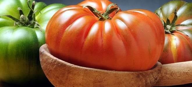 Green and red tomatoes. 