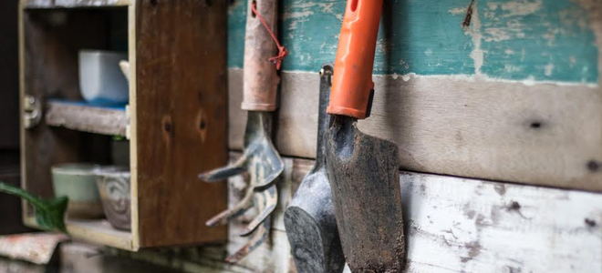 Some small gardening tools hanging on the wall of a wood shed. 