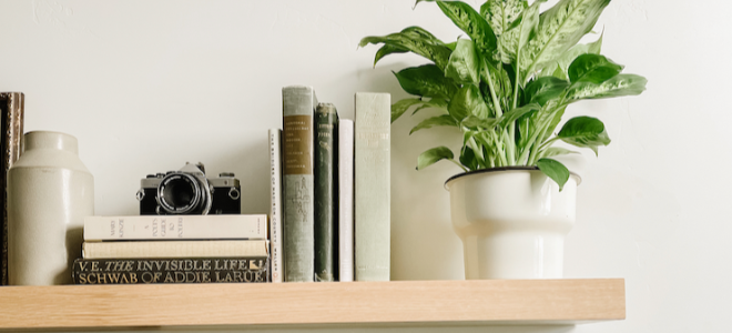 floating shelf with books, camera, and plant