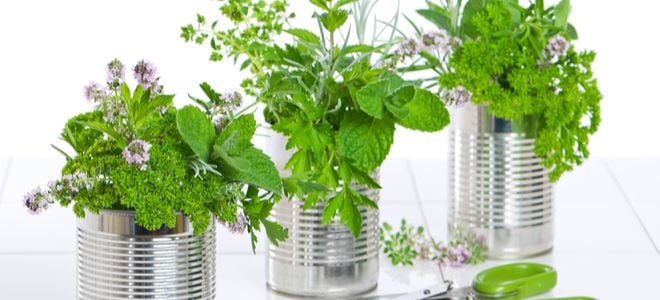 12 Vertical Gardening Ideas