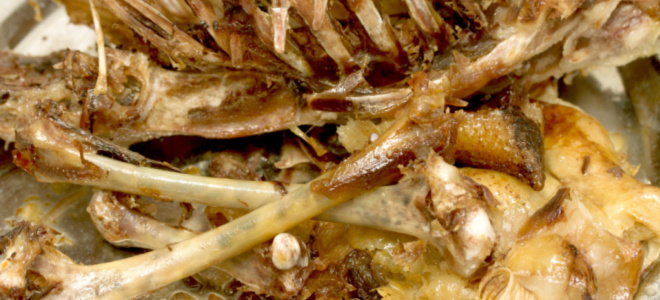food waste meat
