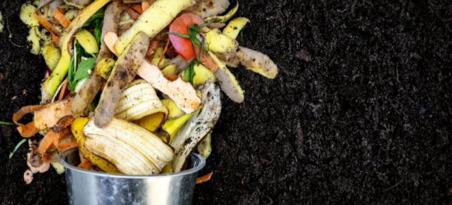 food waste for compost