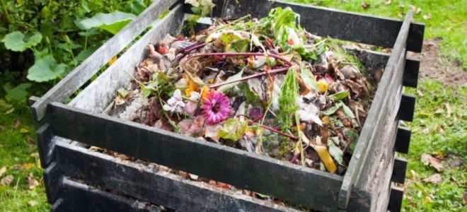 wood compost bin with food waste