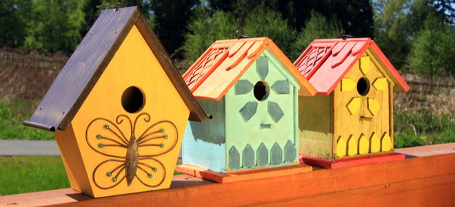 cheerily painted and designed birdhouses