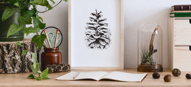 print of a pinecone on a desk with other natural objects