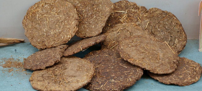 dried patties of manure fertilizer