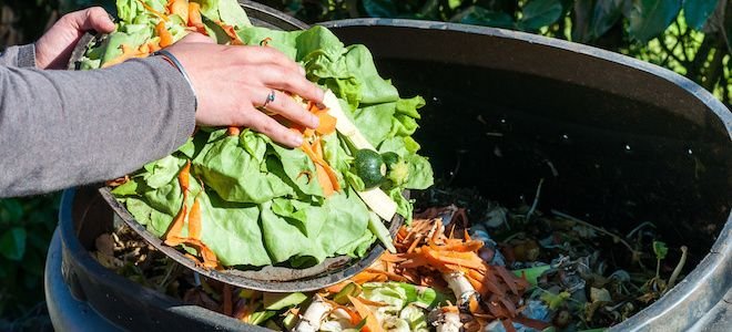 adding food to a compost bin