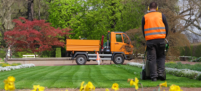 professional landscaper