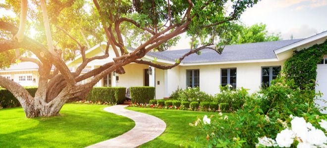 a large tree shading a house from the front yard